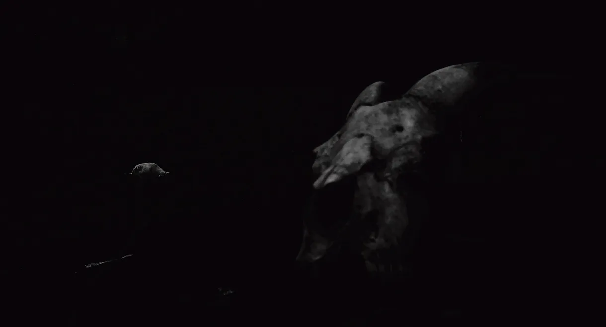 As Conspirações Alienígenas: part. II