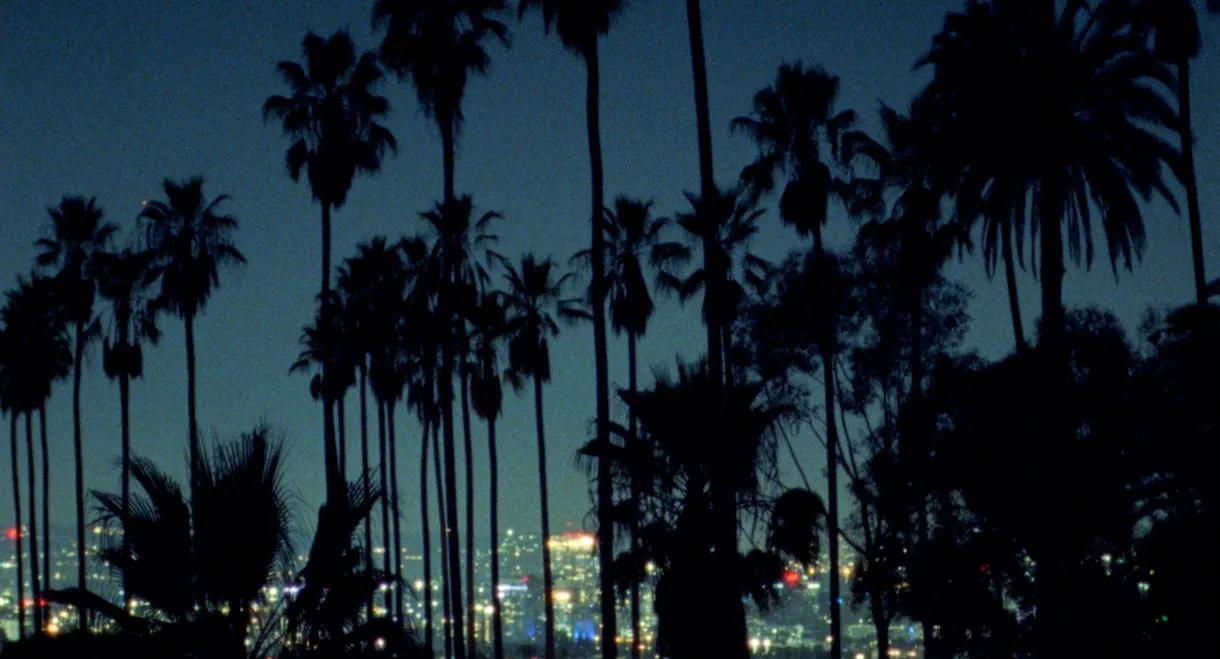 Palm