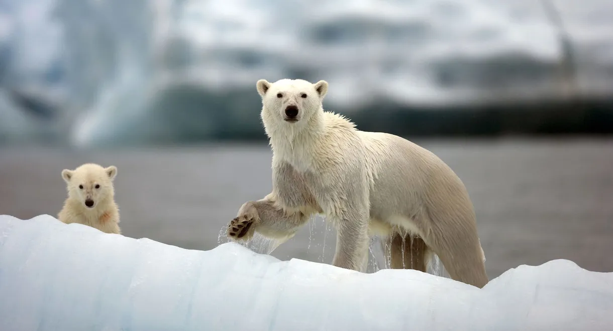 Nature's Great Events