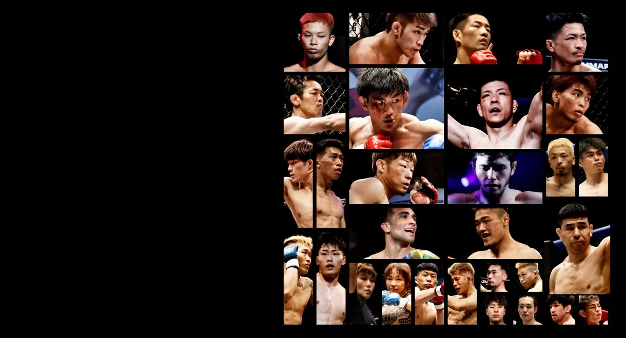 PANCRASE 355