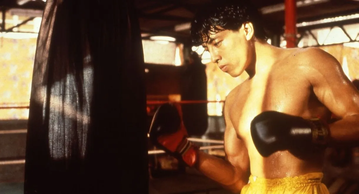 Dreams of Glory, A Boxer's Story