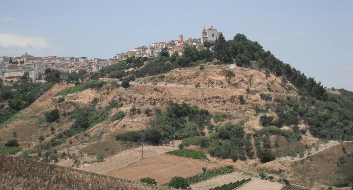 The Mayor of Montemilone