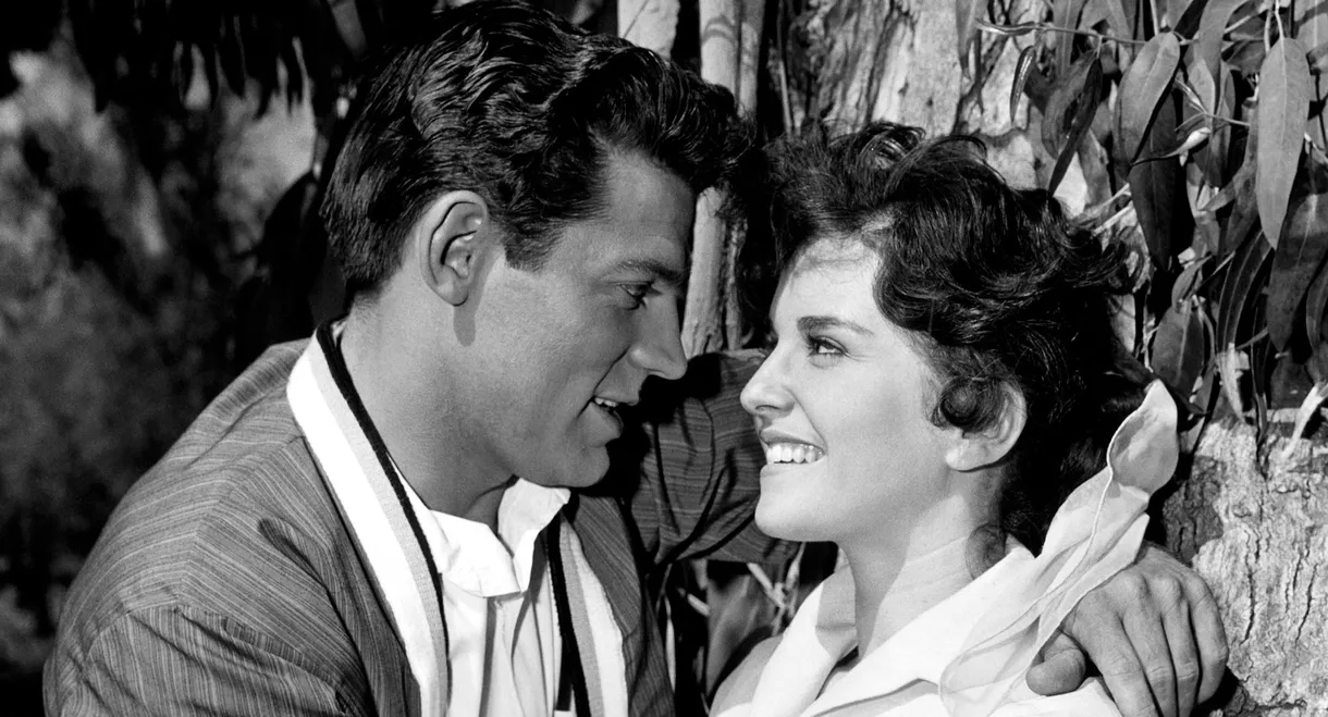 The Diary of a High School Bride