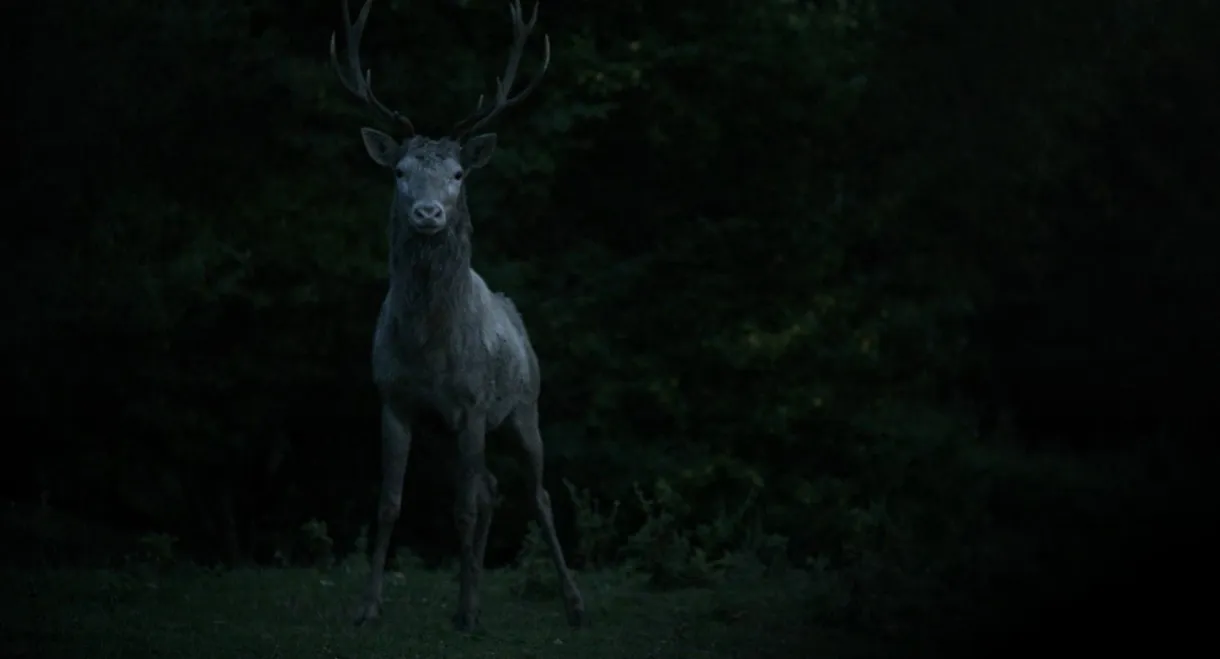 Some Things Have To Be Said - Halfway (3/3)