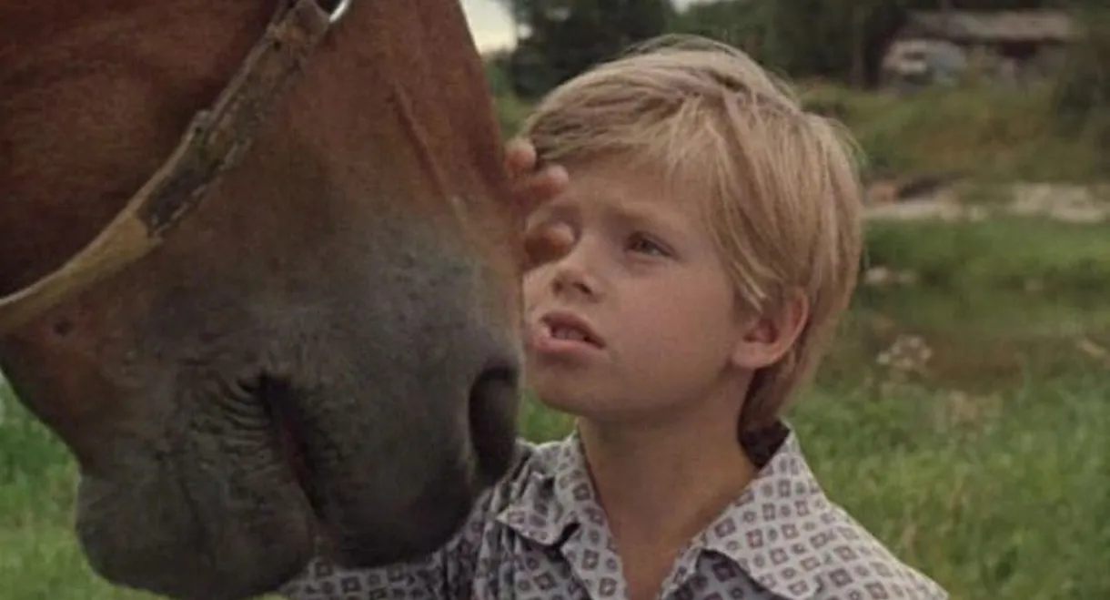 A Collar for Marquis