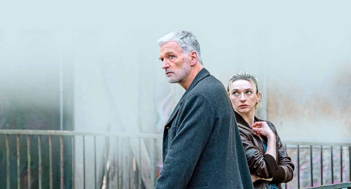 Into the Dark - Hunting Shadows