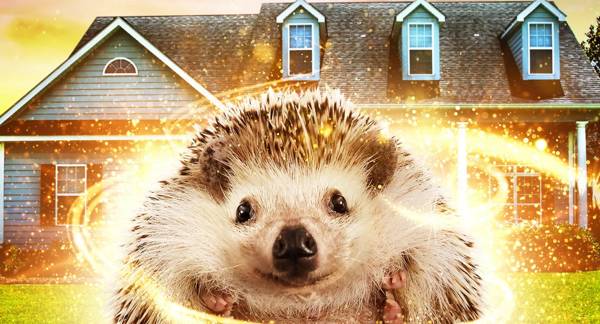 Andy the Talking Hedgehog