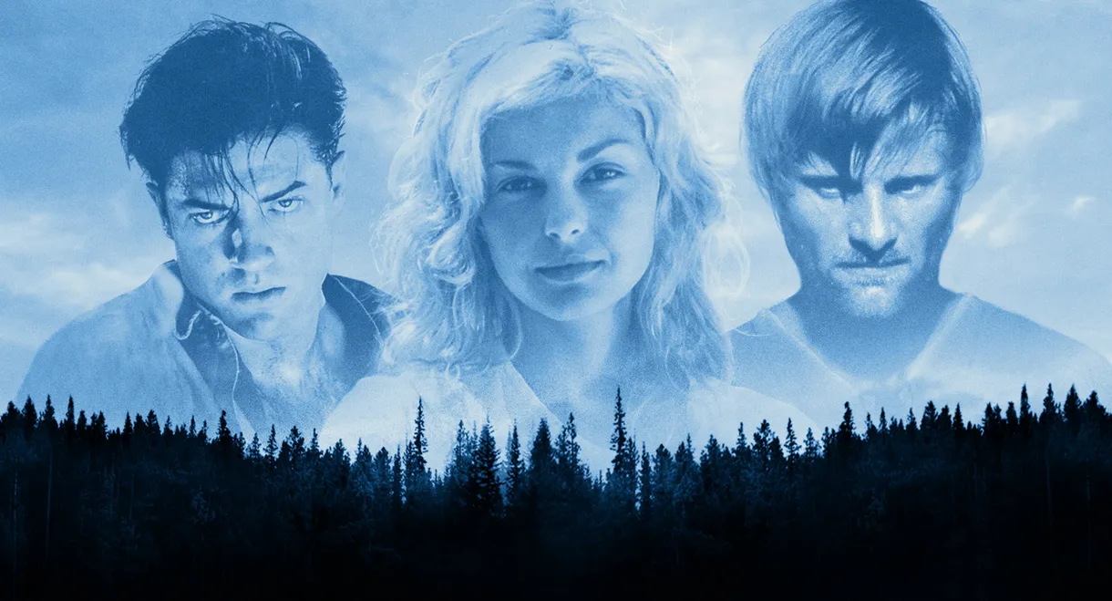 The Passion of Darkly Noon