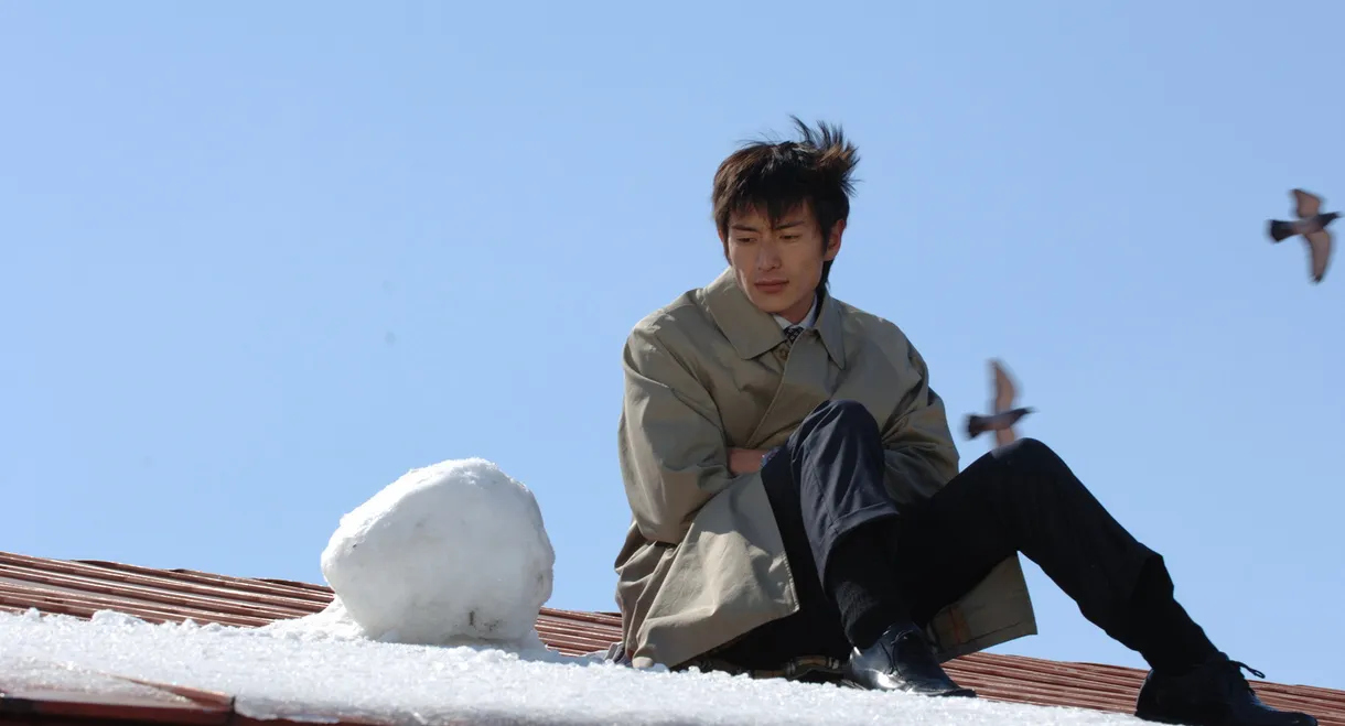 What the Snow Brings