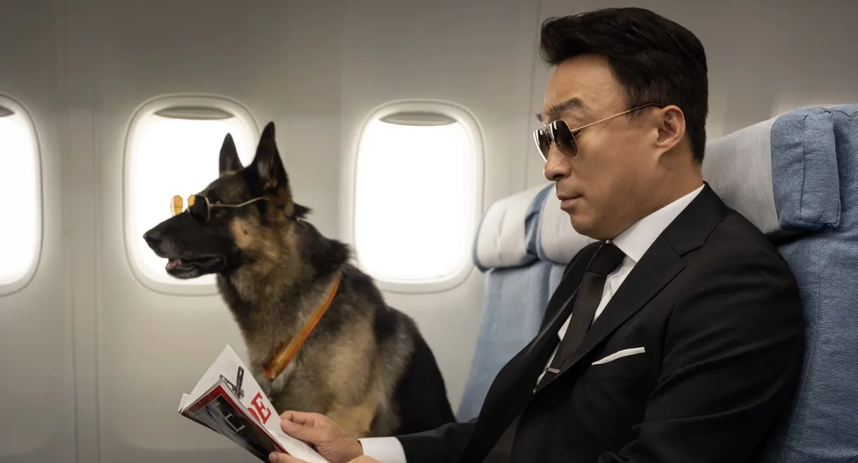 Mr. Zoo: The Missing VIP