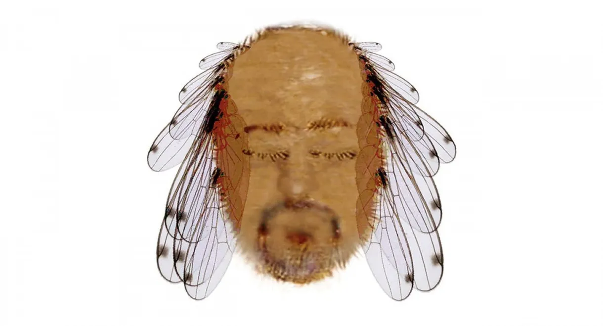 Bill Bailey: Tinselworm