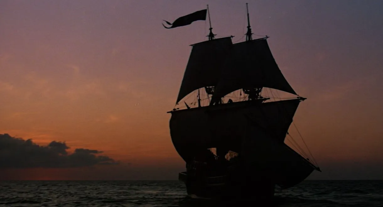 Swashbuckler