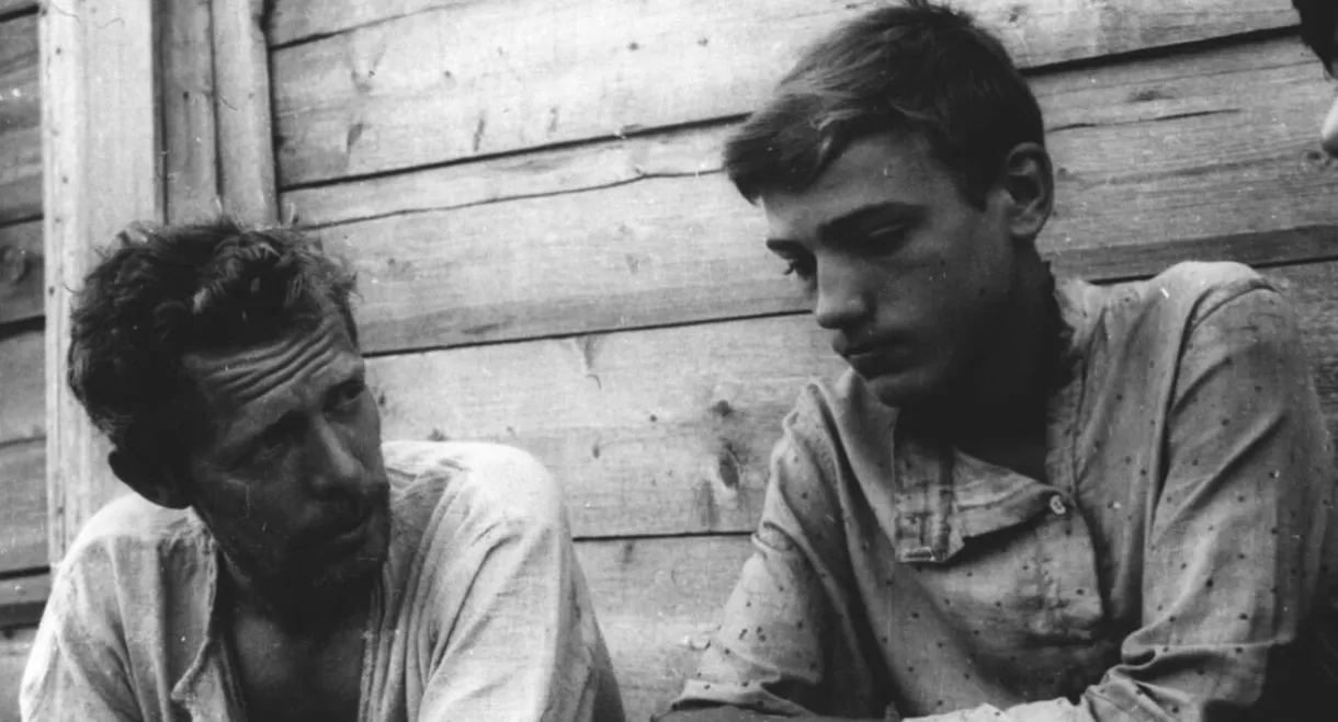 The Homeland of Electricity