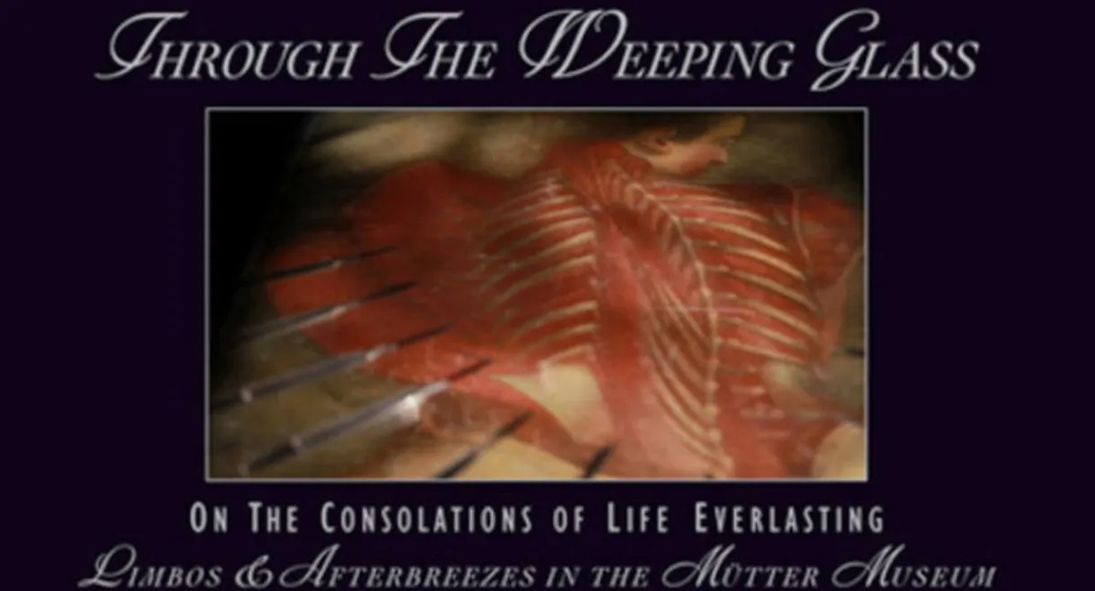 Through the Weeping Glass: On the Consolations of Life Everlasting (Limbos & Afterbreezes in the Mütter Museum)