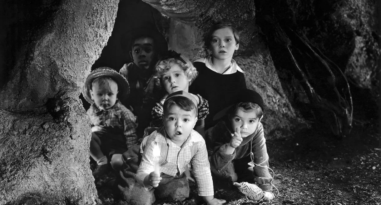 Mama's Little Pirate