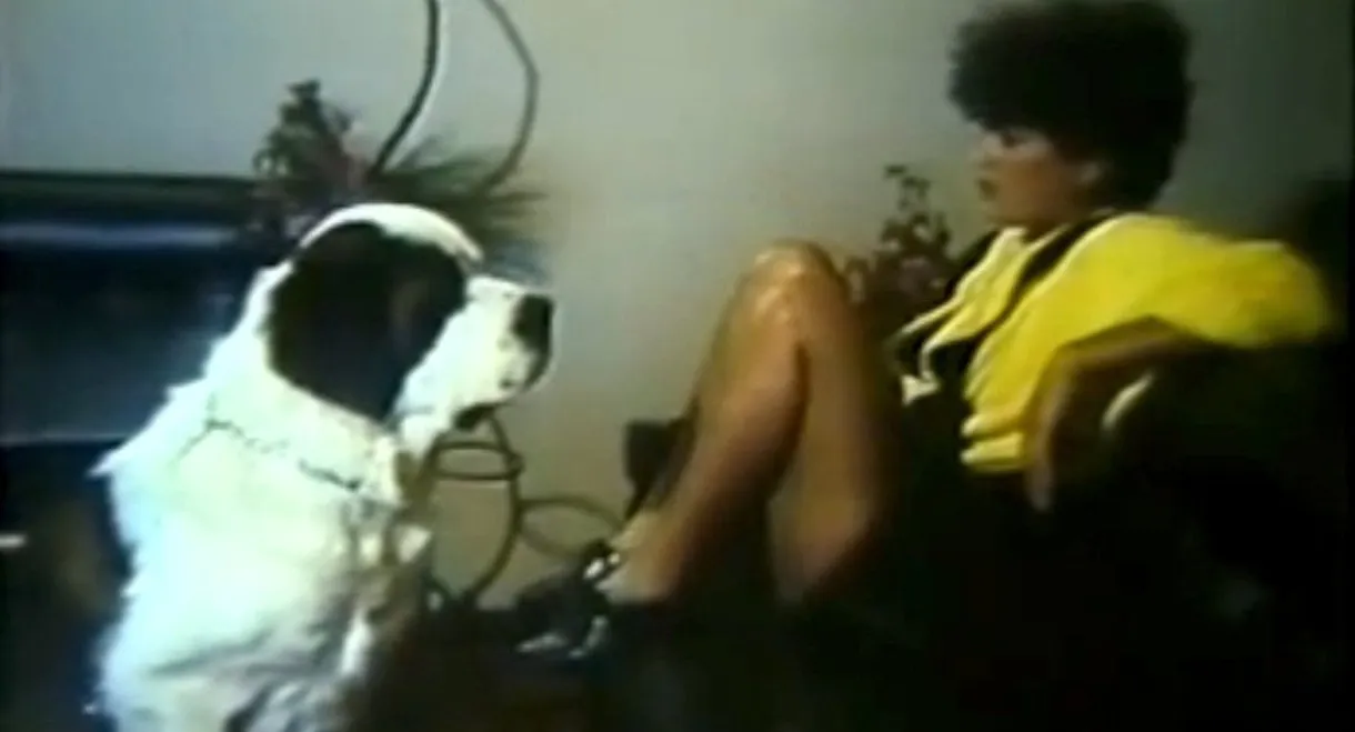 Meu Cachorro, Meu Amante