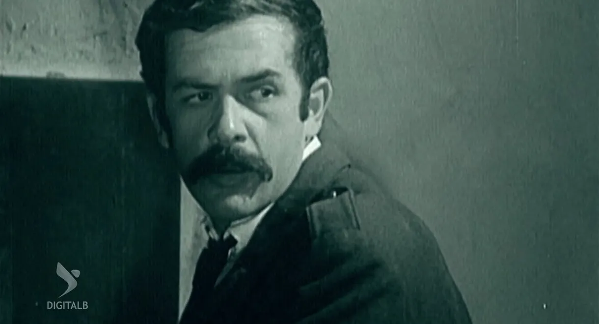 Stars of Long Nights