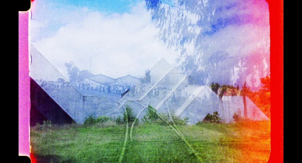 Telegramas desde el campo de batalla