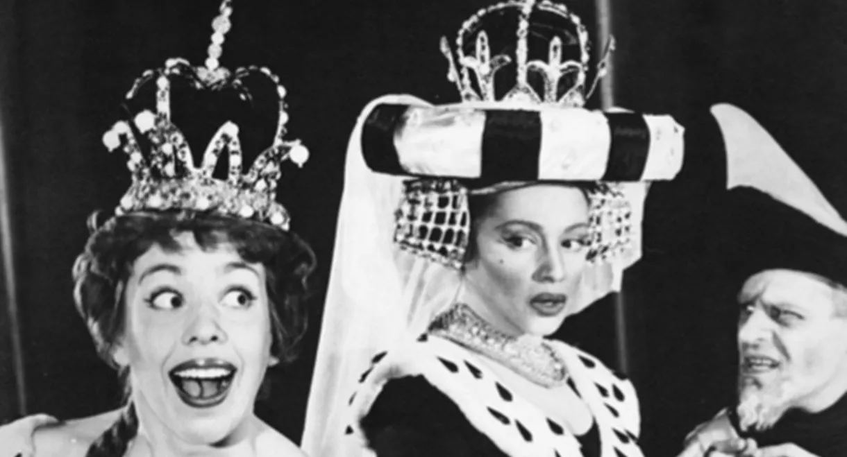 Once Upon a Mattress