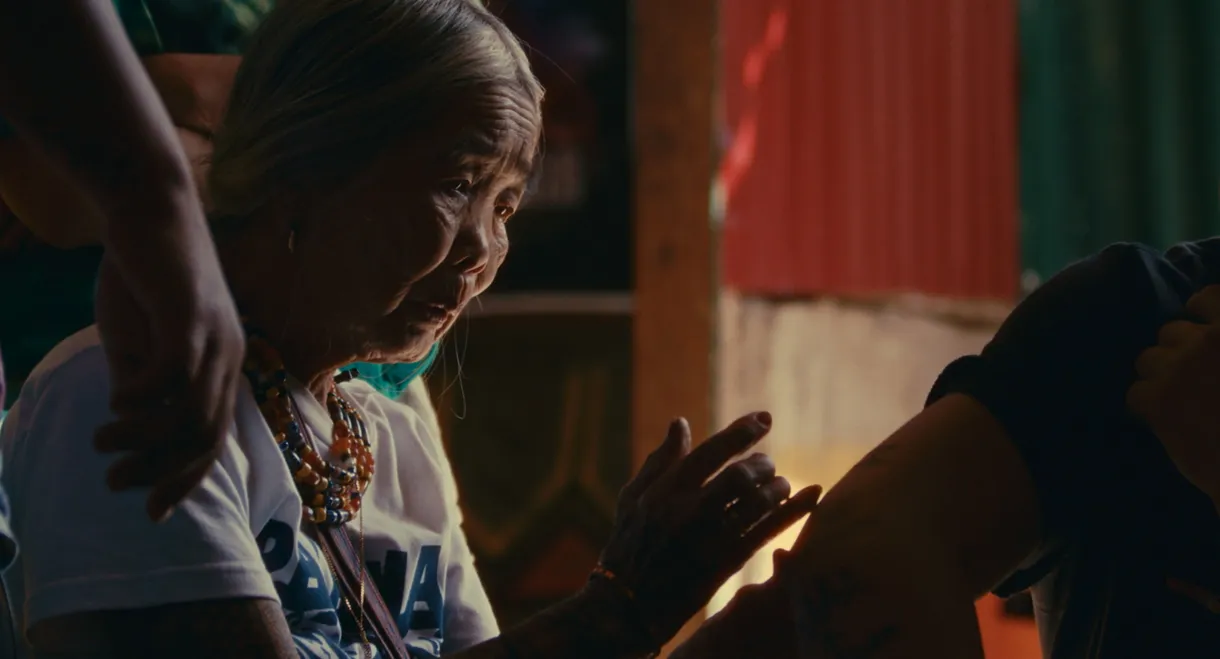 Treasure of the Rice Terraces