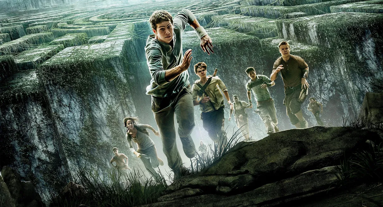 The Maze Runner