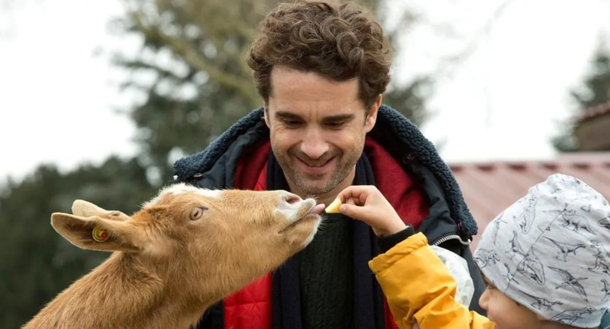 Das Leben ist kein Kindergarten – Umzugschaos