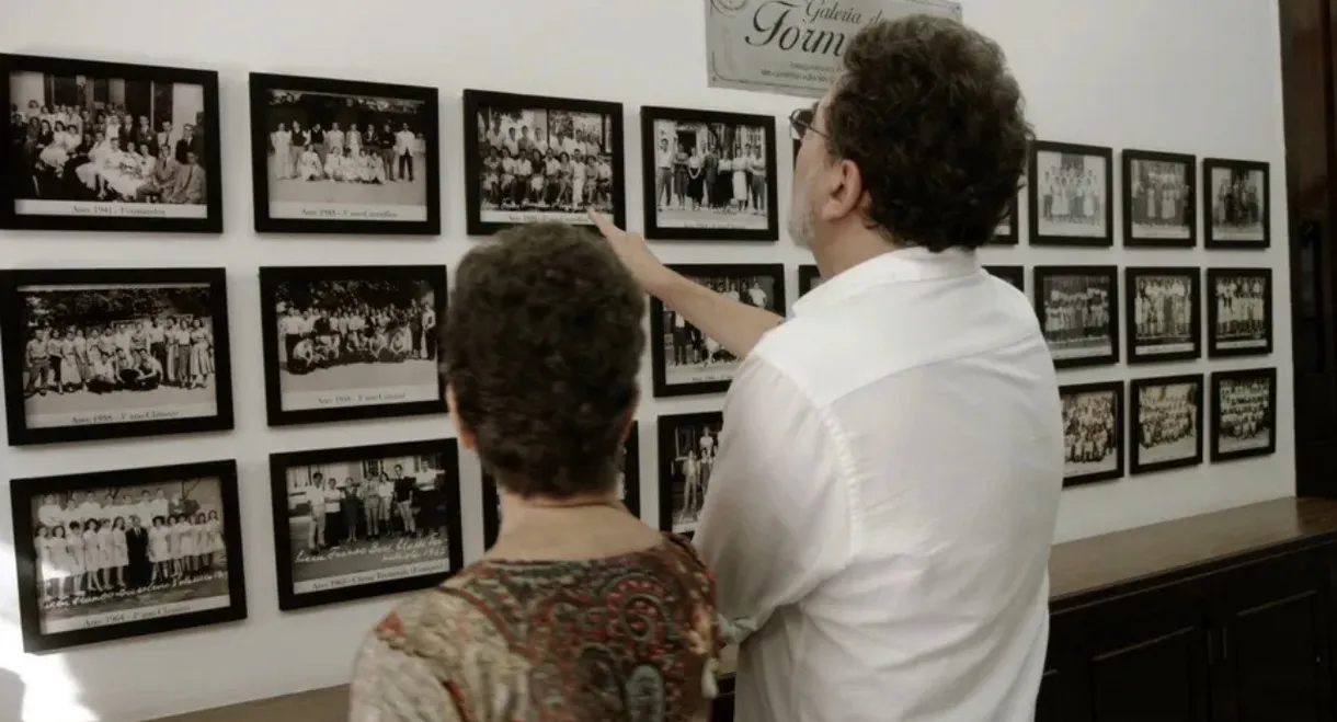 Quem É Primavera das Neves