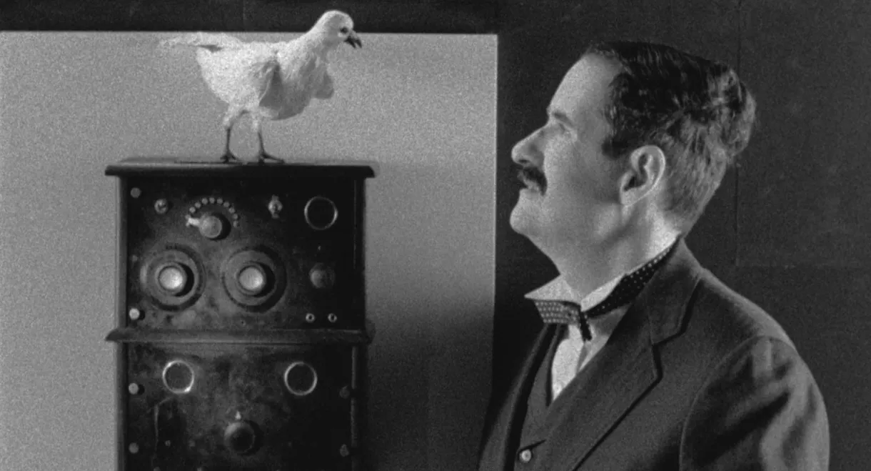 The Tesla World Light