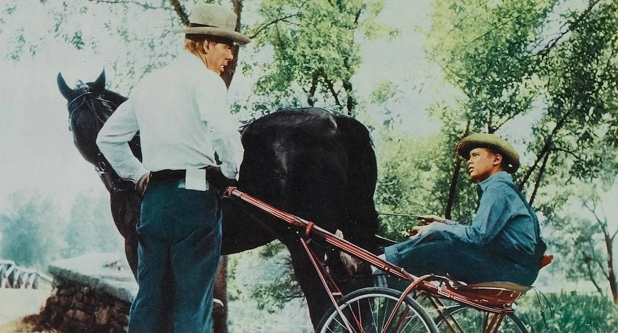 The Missouri Traveler