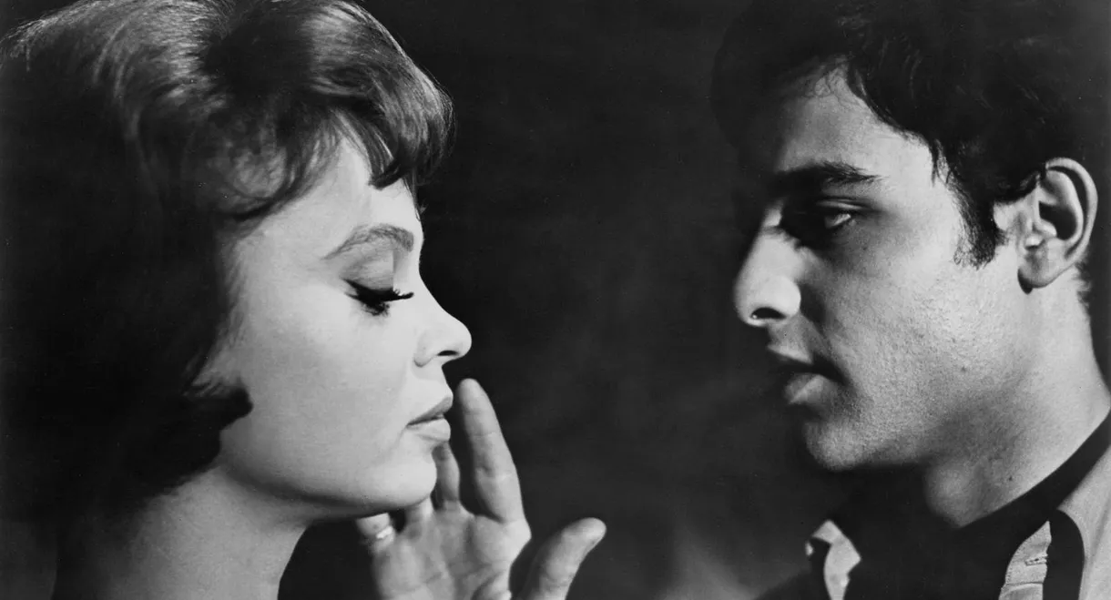 Who Killed Teddy Bear?