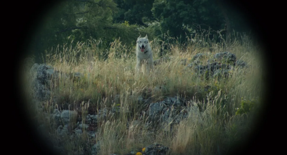 Nebelkind: The End of Silence