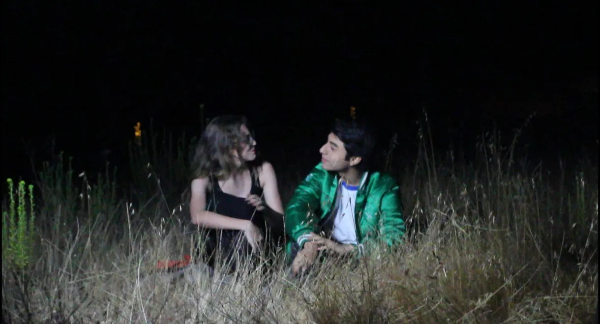 Kingdom of Happy Fallacies