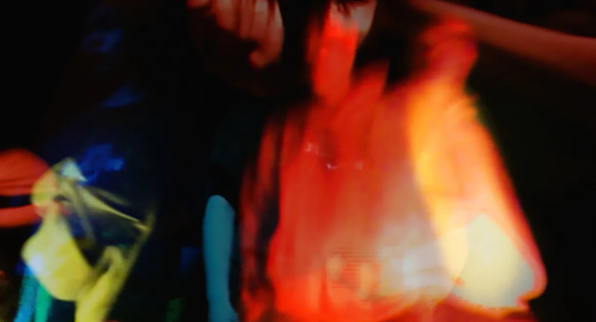 Why Do Ants Go Back To Their Nest?