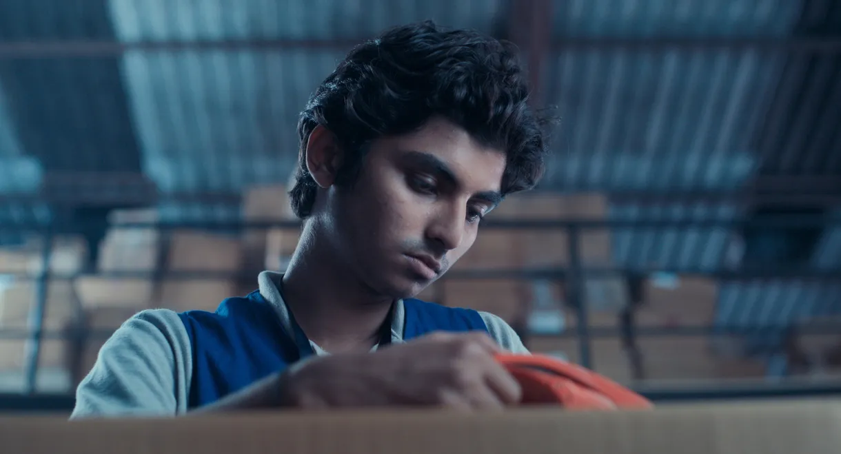 Shadows of the Moonless Nights