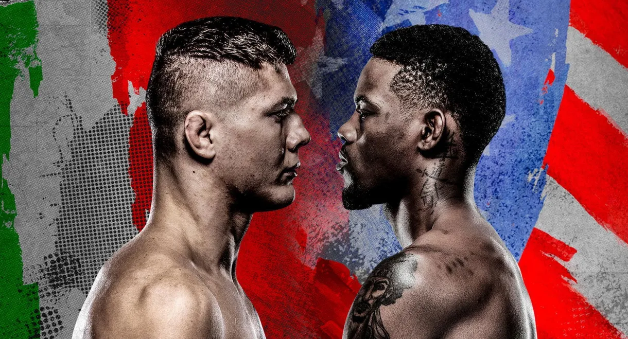 UFC on ABC 2: Vettori vs. Holland