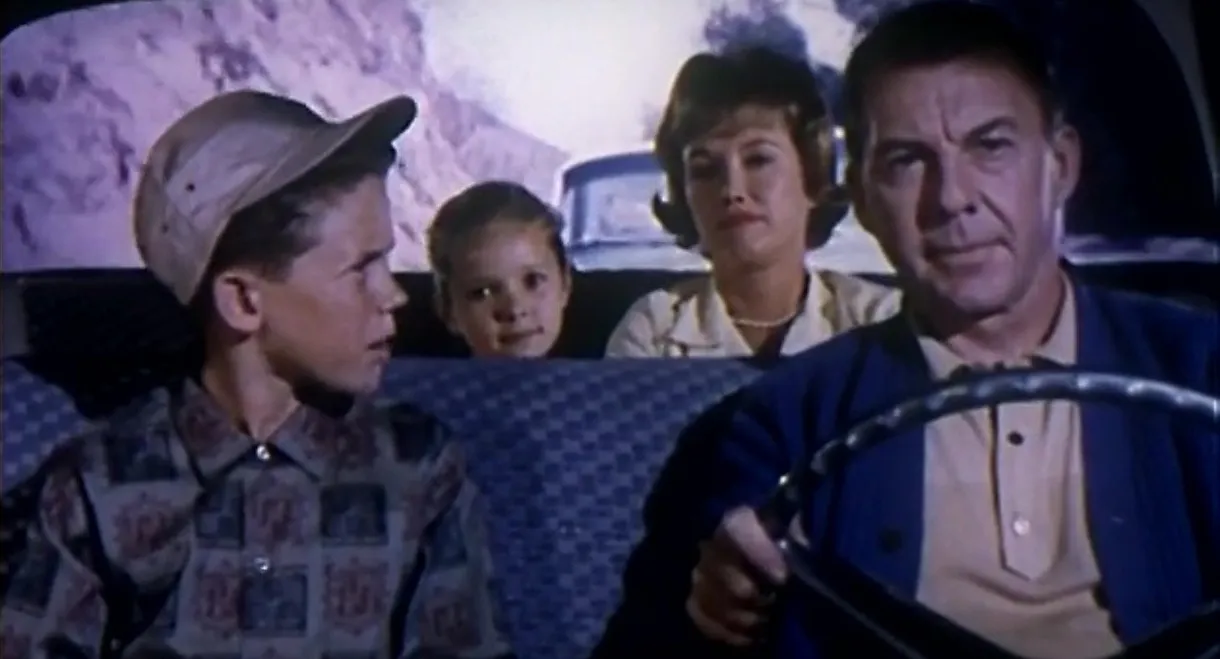 Anatomy of an Accident