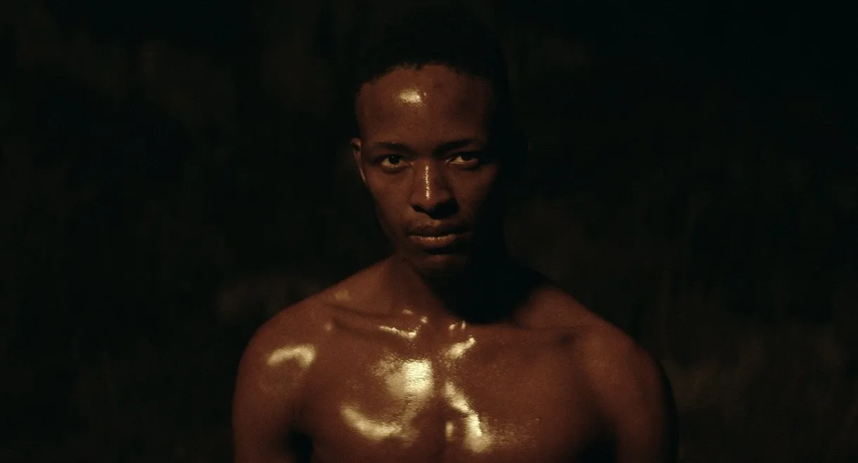 Heaven Reaches Down to Earth