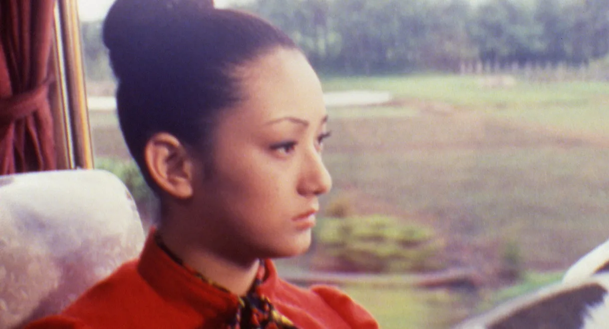 Woman on the Night Train