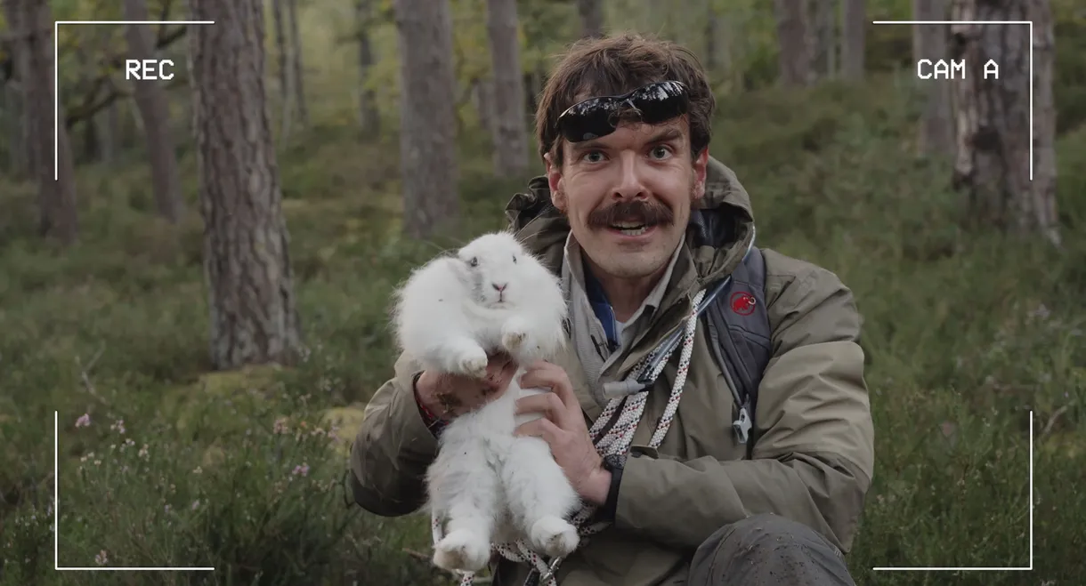 Midwild