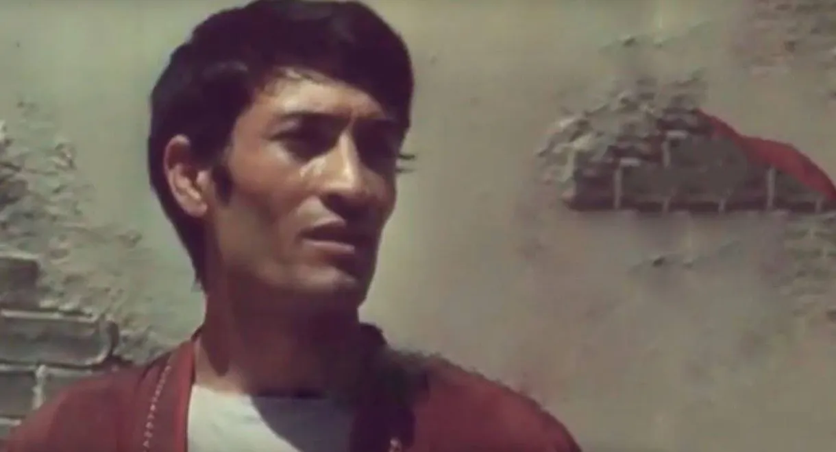 The Tale of the Man, the Wheel and the Plane Tree