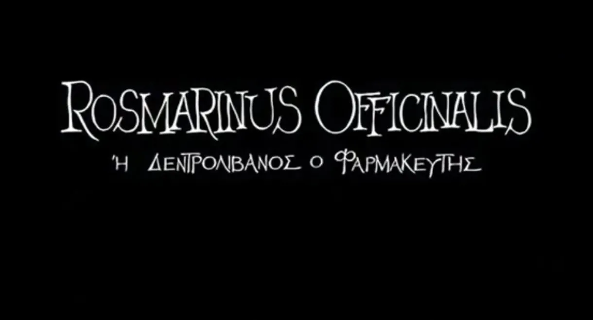 Rosemary the Pharmacist