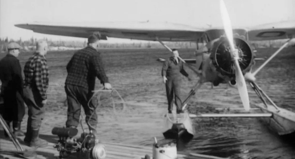 The Forest Commandos