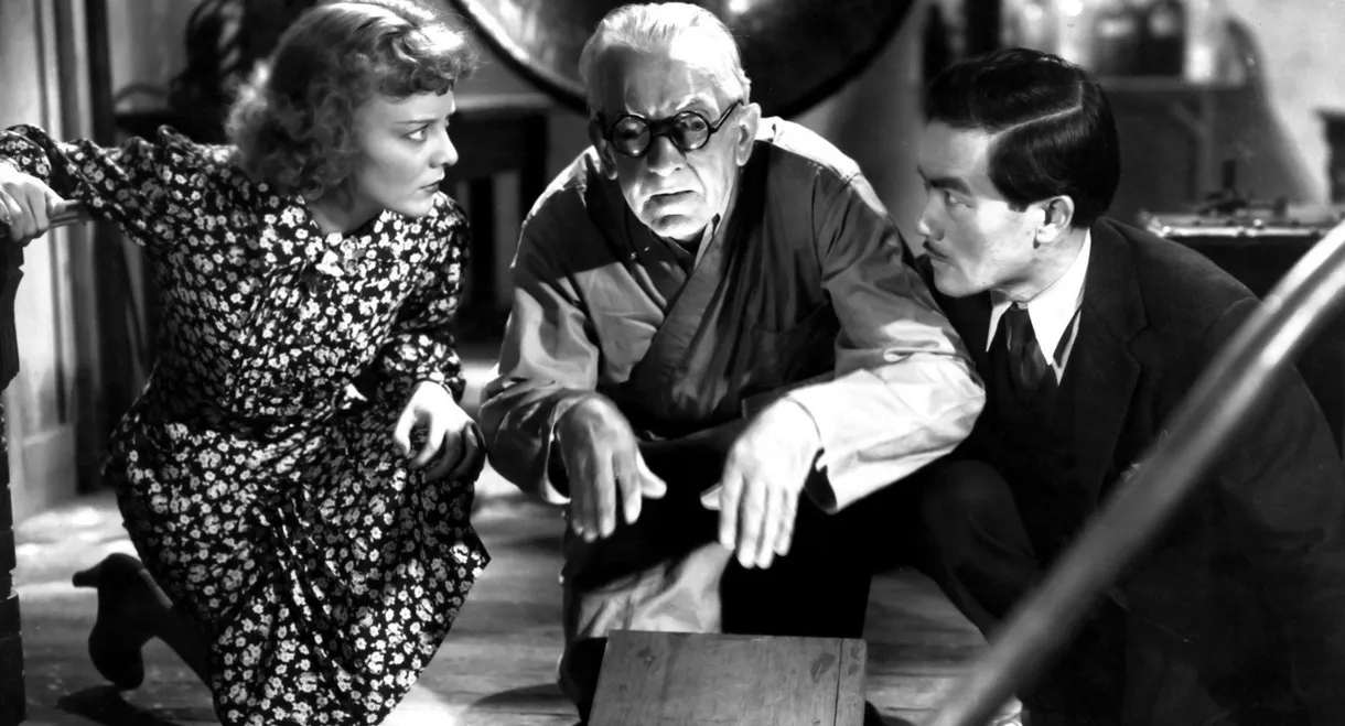 Kelly of the Secret Service