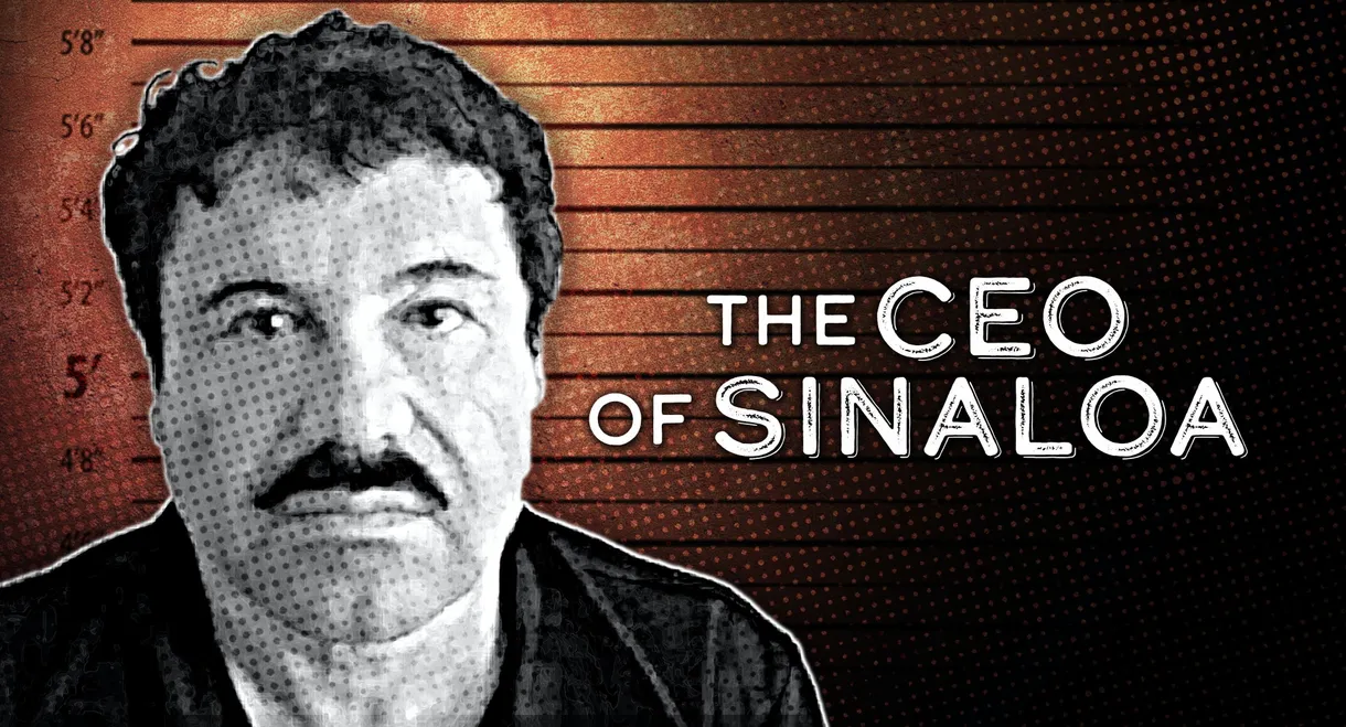 The CEO of Sinaloa
