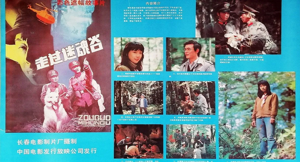 Go Through A Magic Valley