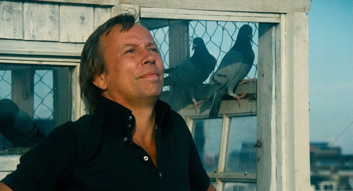 Naked Over the Fence