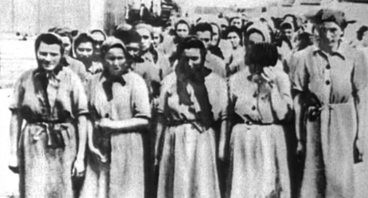 Women of the Resistance