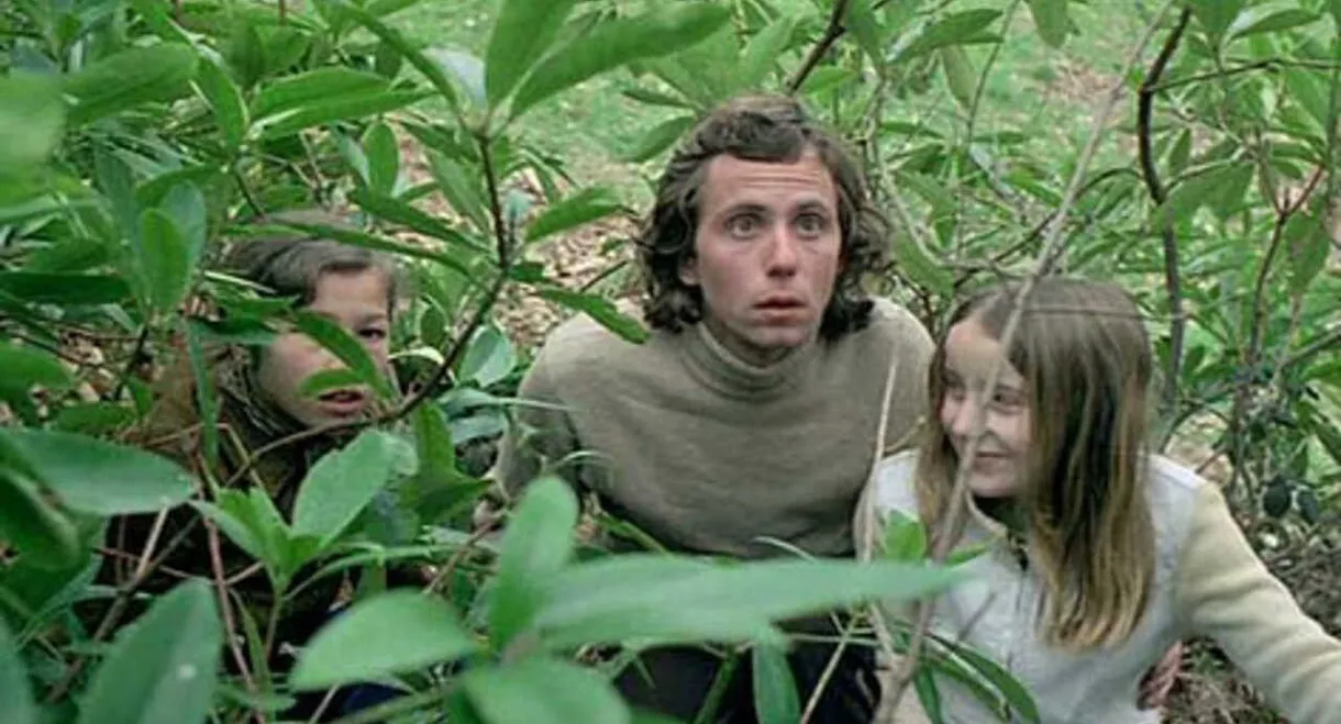 Vincent Put the Donkey in a Meadow (And Went Into the Other)