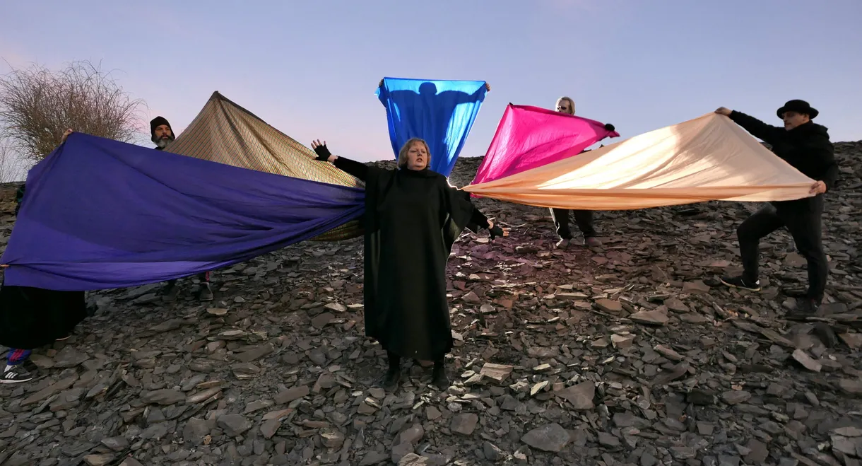 Songs of Hope and Despair. Performed by Bundschuh, Fish, Fox Tail, Rainbow, Dead Drummer,  Muse-Leaving Germany and by other agencies