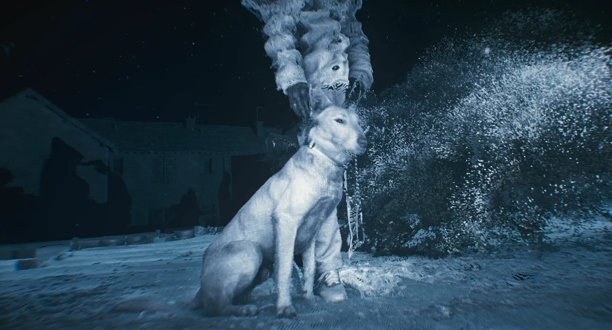 Genealogy of Violence